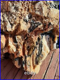 Large Chunk Of Opalized Petrified Wood