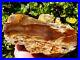 Large_Face_Plank_Cut_Grassy_Mountain_Petrified_Wood_Pink_Red_Agate_Or_6lb_6_7oz_01_bkl