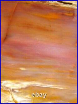 Large Face Plank Cut Grassy Mountain Petrified Wood Pink Red Agate Or 6lb 6.7oz
