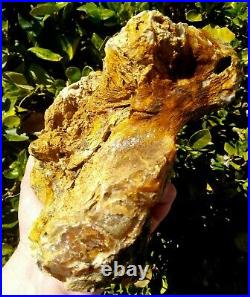 Large Face Plank Cut Grassy Mountain Petrified Wood Pink Red Agate Or 6lb 6.7oz