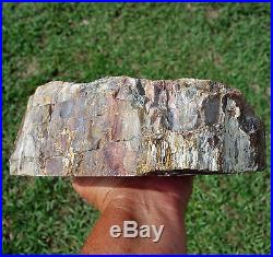Large Fossil Petrified Wood Crystal Quartz Display Stone Beautiful Colors