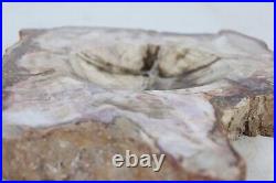 Large Heavy Petrified Wood Slab Piece Carved Trinket Dish Fossilized 12