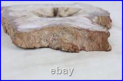 Large Heavy Petrified Wood Slab Piece Carved Trinket Dish Fossilized 12