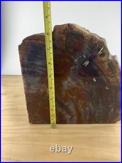 Large Heavy Quarter Slab Petrified Wood Polish One Side 10 Pounds