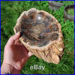 Large Natural Petrified Wood Bowl 5.8lb 9 Hand Carved