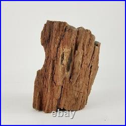 Large Natural Rough Petrified Wood Specimen 7 lb. 1 oz