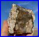 Large_Opal_Agate_Petrified_Wood_Crystal_Mineral_Specimen_Best_Crystal_Rarest_01_sb