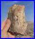 Large_Opal_Agate_Petrified_Wood_Crystal_Mineral_Specimen_Crystal_Museum_Quality_01_uupz