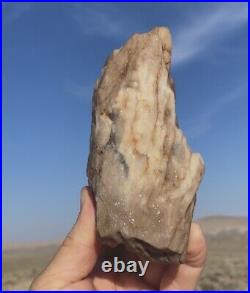 Large Opal Agate Petrified Wood Crystal Mineral Specimen Crystal Museum Quality
