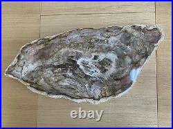Large PETRIFIED WOOD Natural Fossil Solid Lapidary Slab Rock ARIZONA DDL189
