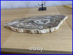 Large PETRIFIED WOOD Natural Fossil Solid Lapidary Slab Rock ARIZONA DDL189