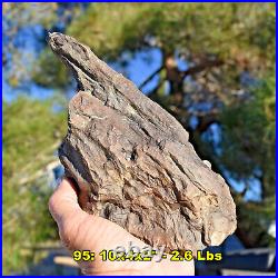 Large PETRIFIED WOOD Specimens Choice of 15 8-12 Rough Fossils from U. S