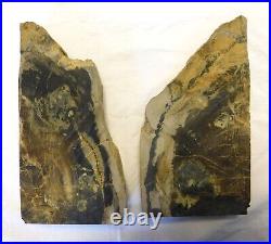 Large Pair Petrified Wood Bookends With Bark Covered Outside 7 Pound