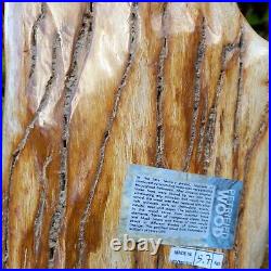 Large Petrified Fossil Wood Specimen Freestanding Indonesian 5.7kg