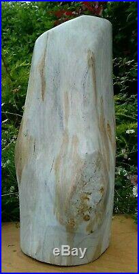 Large Petrified Fossil Wood Specimen Indonesian 4.5kg