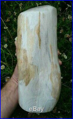 Large Petrified Fossil Wood Specimen Indonesian 4.5kg