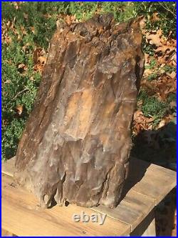 Large Petrified Wood 75lbs +