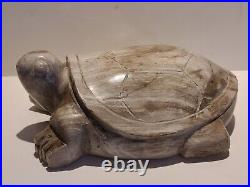 Large Petrified Wood Carved Turtle Statue / Figure