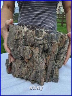 Large Petrified Wood Log 48 lbs 31 circumference Polished on the top/bottom