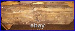 Large Petrified Wood Log Rough Specimen from Ghost Town Lester Washington