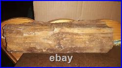 Large Petrified Wood Log Rough Specimen from Ghost Town Lester Washington