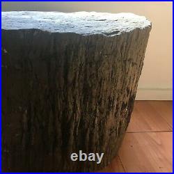 Large Petrified Wood Log Tree from Northern Alabama Very Heavy 14 x 14x12