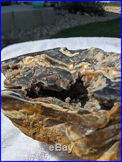 Large Petrified Wood Slab 21.5 lbs many crystals, polished 20 long