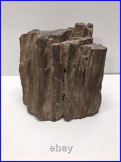 Large Petrified Wood, Some Crystals, Tennessee, Large, 6.98 pounds
