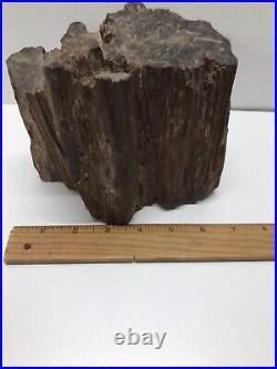 Large Petrified Wood, Some Crystals, Tennessee, Large, 6.98 pounds