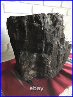 Large Petrified Wood from Arizona Very Heavy