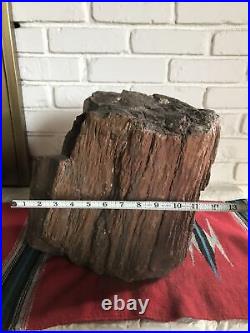 Large Petrified Wood from Arizona Very Heavy