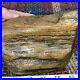 Large_Piece_Of_Perfectly_Preserved_Agatized_Wood_Multi_Colored_Dense_01_lh