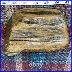 Large Piece Of Perfectly Preserved Agatized Wood Multi Colored Dense
