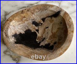 Large Polished Petrified Carved Wood Shallow Dish 5lbs 4oz/8 Natural Decor
