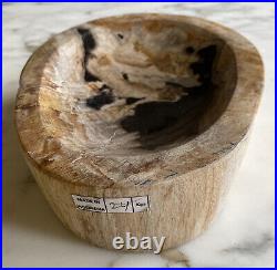 Large Polished Petrified Carved Wood Shallow Dish 5lbs 4oz/8 Natural Decor
