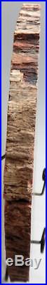 Large Polished Petrified Wood Slab Madagascar WithStand 14.5 10 lb 2 oz A918