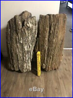 Large heavy petrified wood slabs / logs (lot of 3) 300 Plus Pounds
