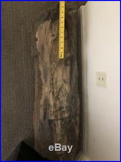 Large heavy petrified wood slabs / logs (lot of 3) 300 Plus Pounds