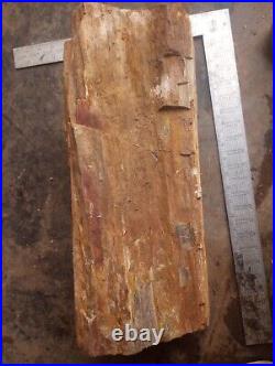 Large petrified wood log with quartz crystals