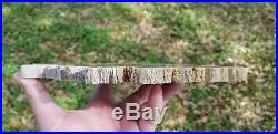 Live Oak Jasper texas Catahoula formation Polished slab Petrified wood