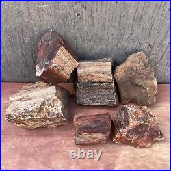 Lot 18 Pieces 15.1 LBS UTAH Raw Rough PETRIFIED FOSSIL WOOD Crystals Wood Rings