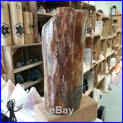 MONSTER STUNNING Petrified Wood Fossil Indonesia 10.5Kg £183 now £140 FLAWLESS