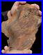 Massive_Druzy_Covered_Petrified_Agatized_Opalized_Wood_Bark_Complete_Piece_7_5lb_01_ldr