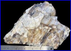 Massive Opal Agate Petrified Wood Juniper Crystal Specimen Museum Quality 6lbs+