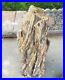 Massive_Petrified_Wood_Tree_Trunk_Rock_Fossile_Over_148lbs_Rare_Speciman_01_br
