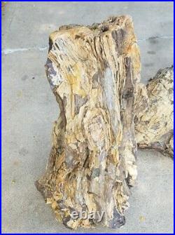 Massive Petrified Wood Tree Trunk Rock Fossile Over 148lbs Rare Speciman