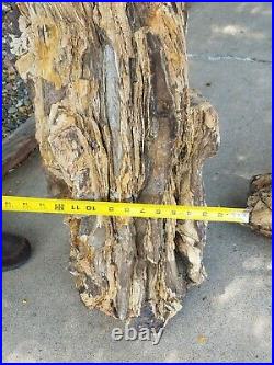 Massive Petrified Wood Tree Trunk Rock Fossile Over 148lbs Rare Speciman