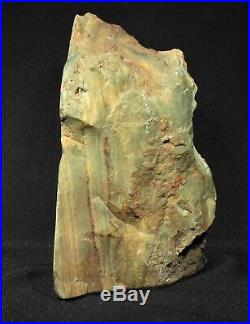 Miocene Petrified Bogwood (Green Jasper) from McDermitt, Oregon 944 grams