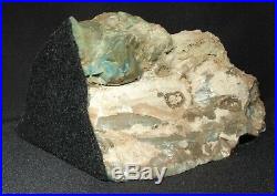 Miocene Petrified Bogwood (Green Jasper) from McDermitt, Oregon 944 grams