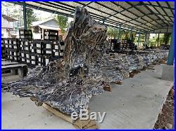 Museum Collection 11 Ton Full Polish Indonesia Hard Tropical Petrified Wood Tree